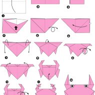 Modele origami animaux