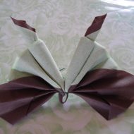 Pliage de serviette papillon