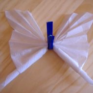 Pliage de serviettes en papillon